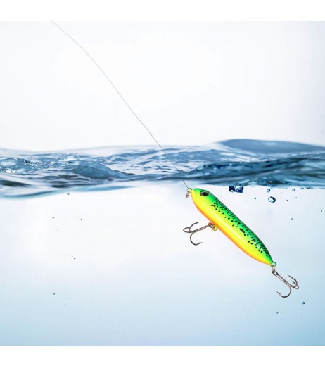 Lixada 3D Eyes Lifelike Fishing Lure 100mm/12.4g Pencil Popper Lures Wobbler Artificial Hard Bait with Hooks Ring